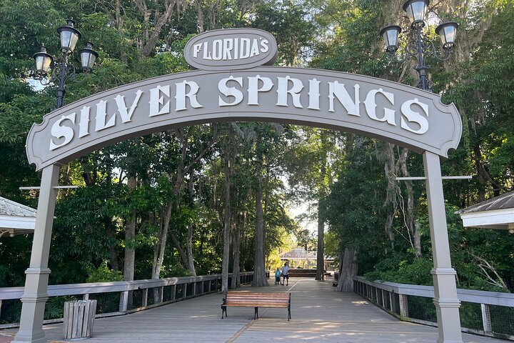 Step into the natural wonder of Silver Springs where lush surroundings invite exploration. Discover scenic trails a glass-bottom boat tour and the charm of Florida's unique ecosystem.